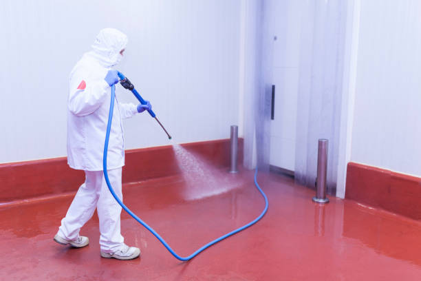 Reliable Ninety Six, SC  Pressure Washing Services Solutions